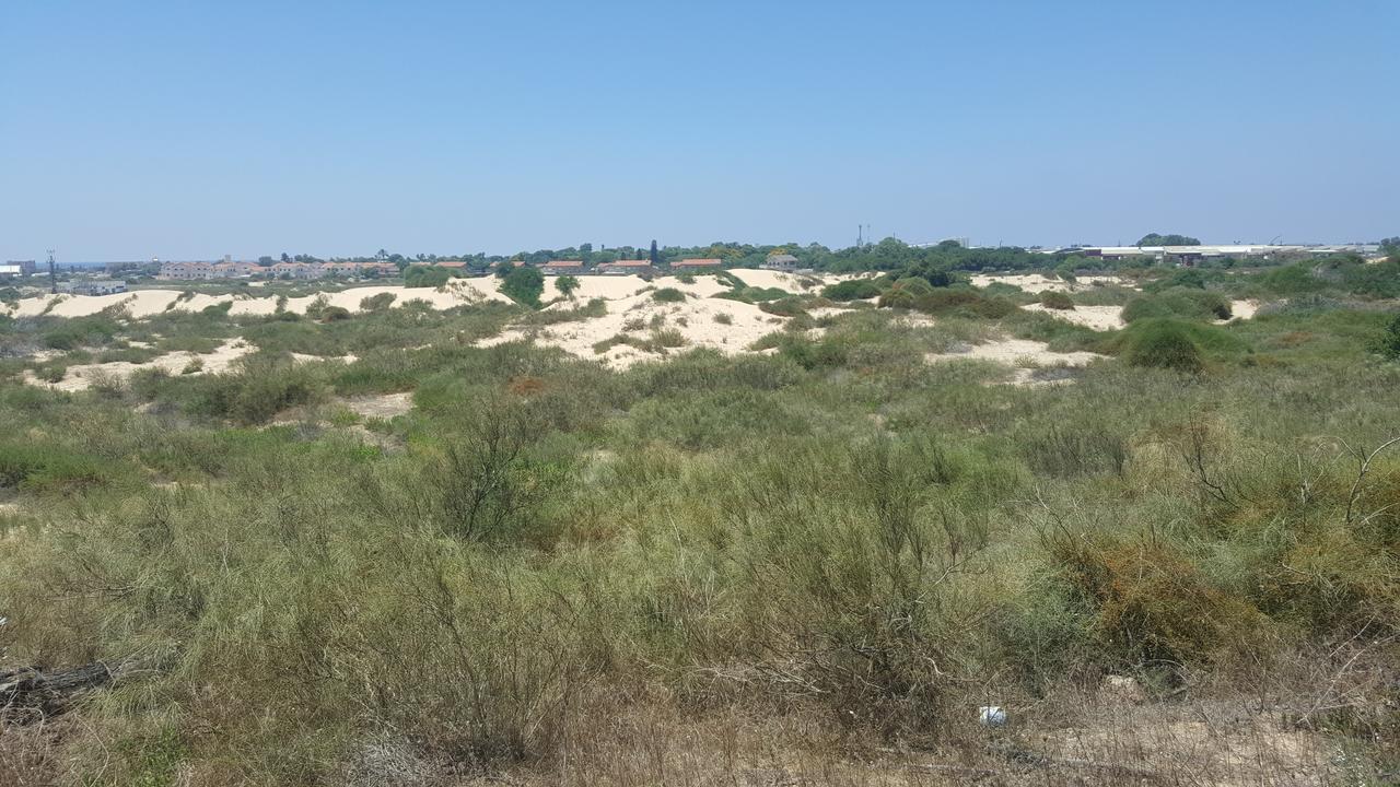 Neot Golf Caesarea Garden Apartment Esterno foto