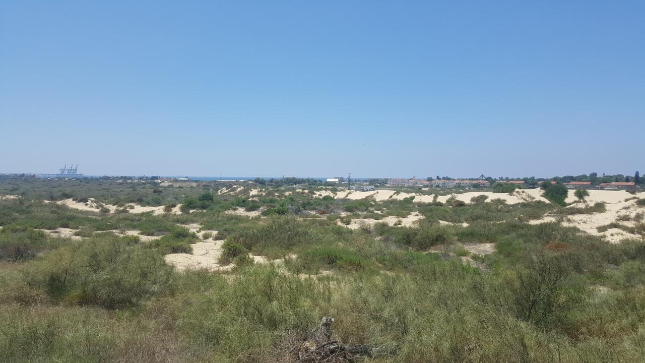 Neot Golf Caesarea Garden Apartment Esterno foto